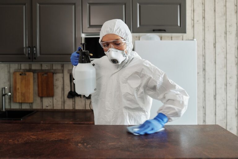 Read more about the article What a Deep Cleaning Can Do for Your Home and Life