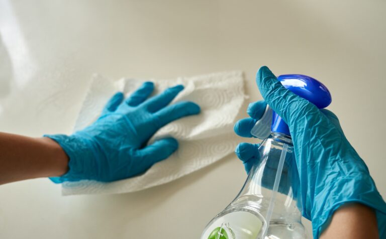 Read more about the article Important Questions You Should Ask a House Cleaning Service