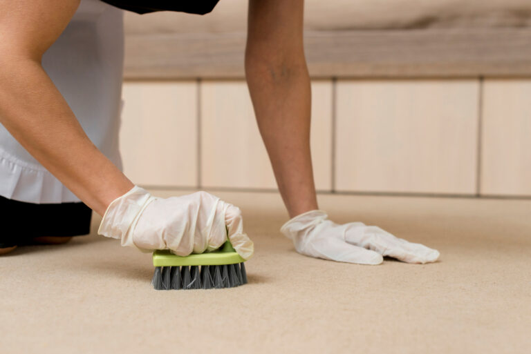 Read more about the article Transform Your Home with Professional Carpet Cleaning Services