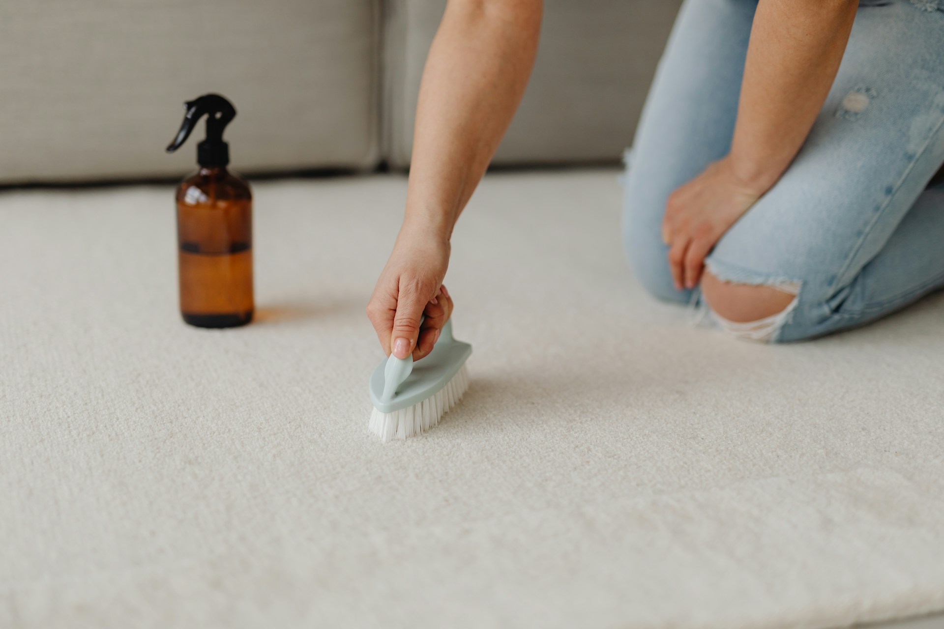 Shaping a Healthy Home in 2024: The Role of Regular Carpet Cleaning