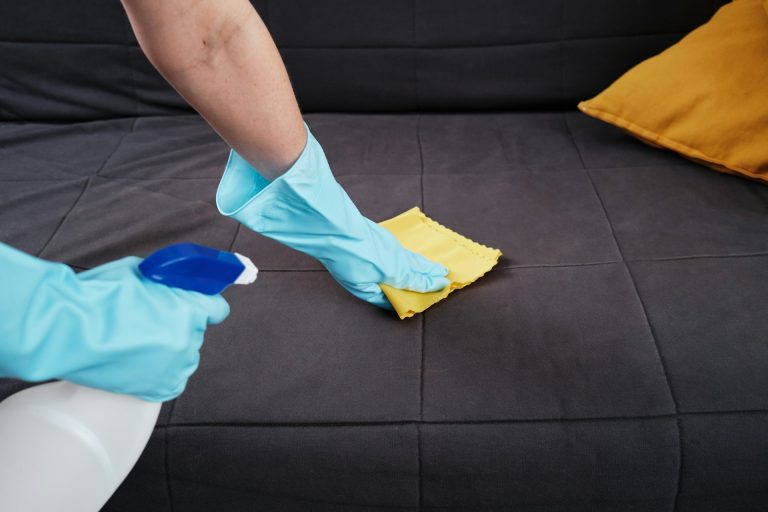 Read more about the article Get Ready for a Professional Deep Cleaning