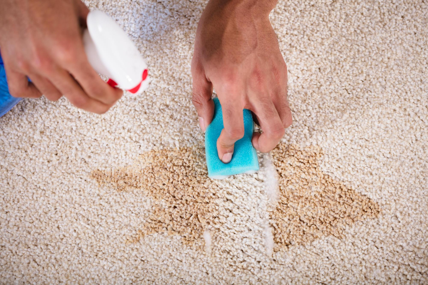 Eliminating Coffee and Food Stains from Office Carpets