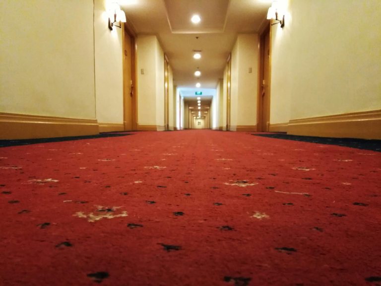 Read more about the article How to Fix Matted Carpet Areas in Doorways and Hallways