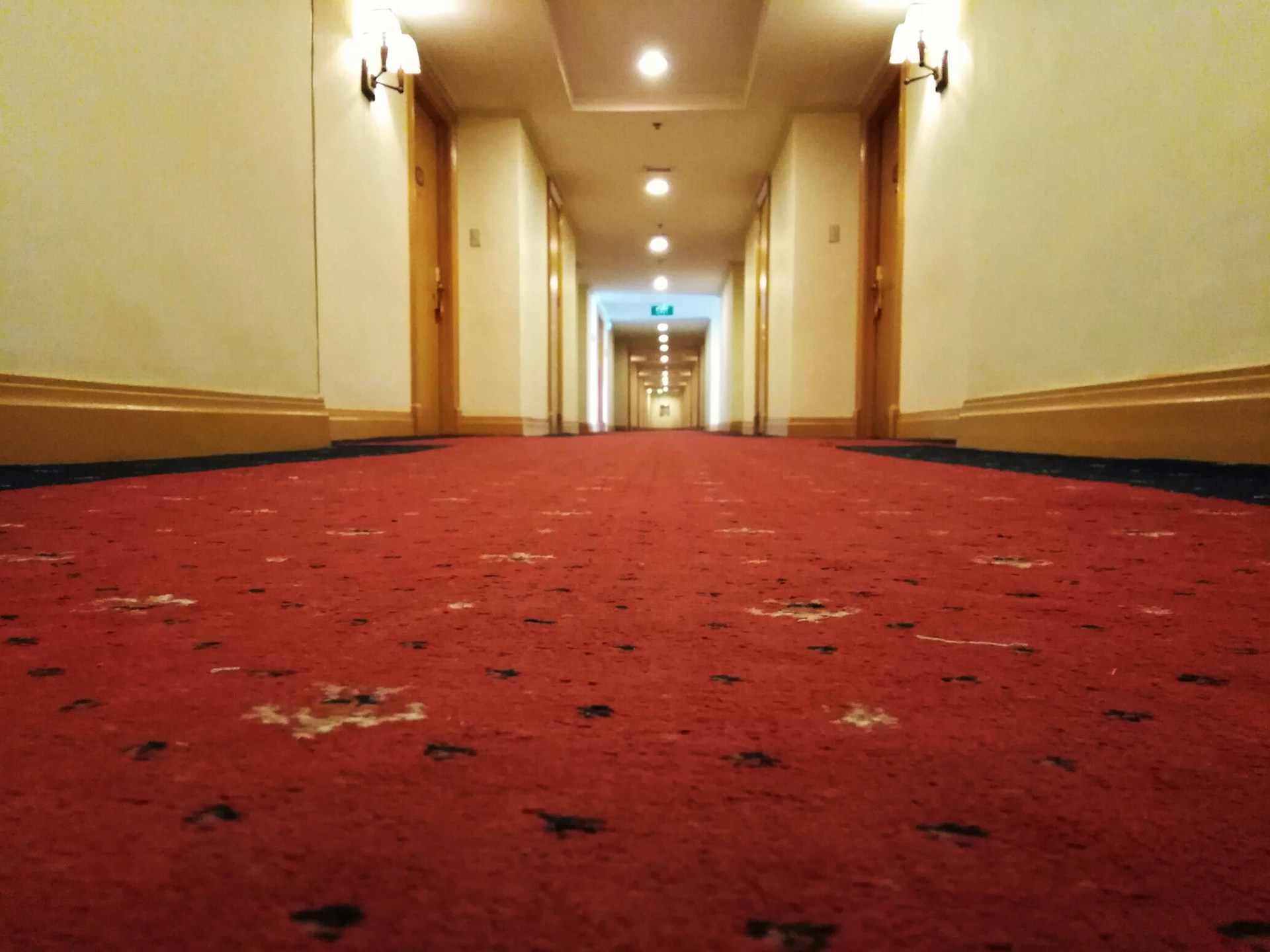 How to Fix Matted Carpet Areas in Doorways and Hallways