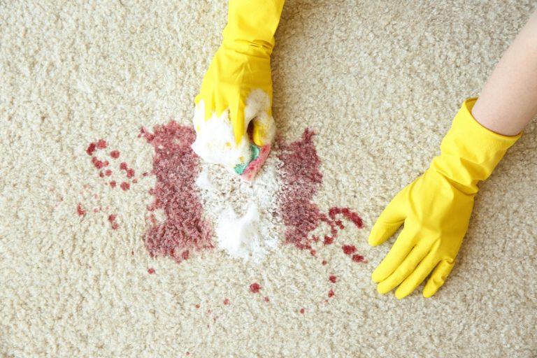 Read more about the article Mysterious Carpet Spots That Keep Coming Back