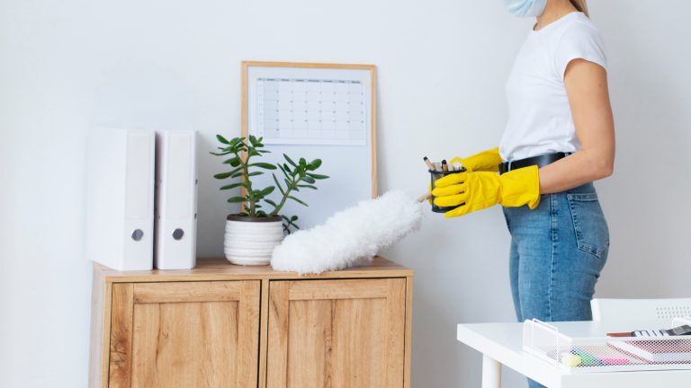 Read more about the article Pre-Fall Home Maintenance Cleaning Guide